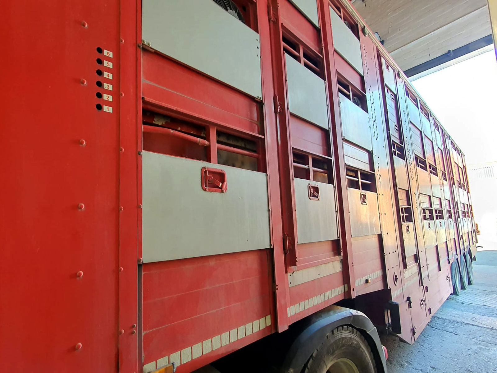SERVICIOS - Jaula